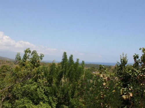 Araminth Spa and Villa Lovina image 28