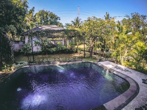 Araminth Spa and Villa Lovina image 7